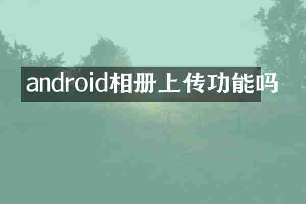 android相册上传功能吗