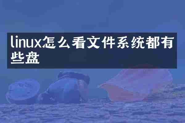 linux怎么看文件系统都有哪些盘