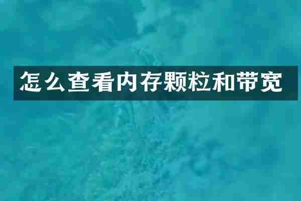 怎么查看内存颗粒和带宽