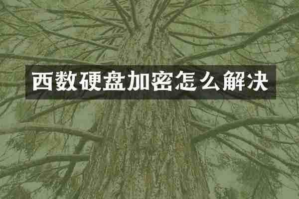 西数硬盘加密怎么解决