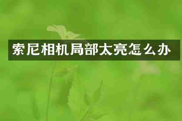索尼相机局部太亮怎么办