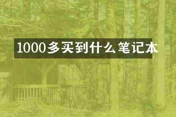 1000多买到什么笔记本