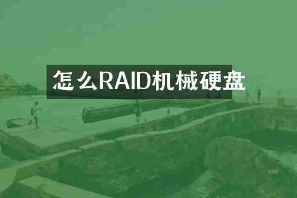 怎么RAID机械硬盘