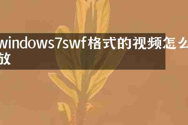 windows7swf格式的视频怎么播放