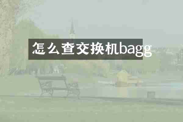 怎么查交换机bagg