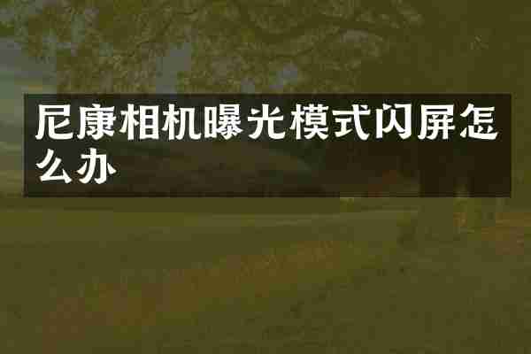 尼康相机曝光模式闪屏怎么办