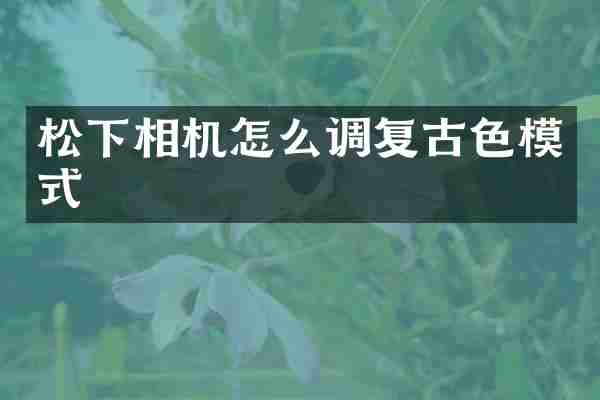 松下相机怎么调复古色模式