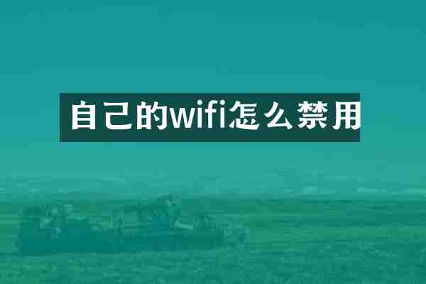 自己的wifi怎么禁用