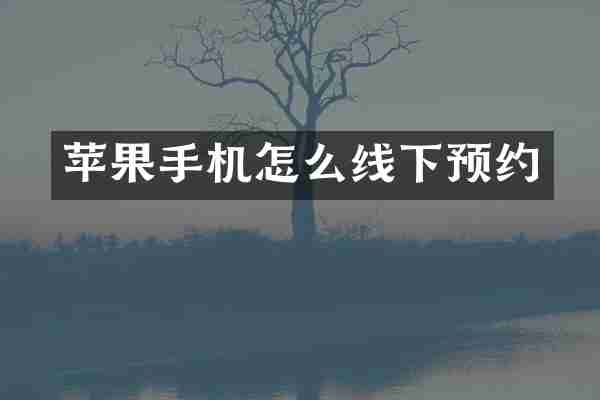 苹果手机怎么线下预约