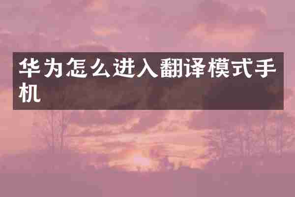 华为怎么进入翻译模式手机