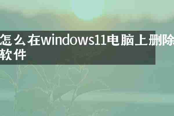怎么在windows11电脑上删除软件