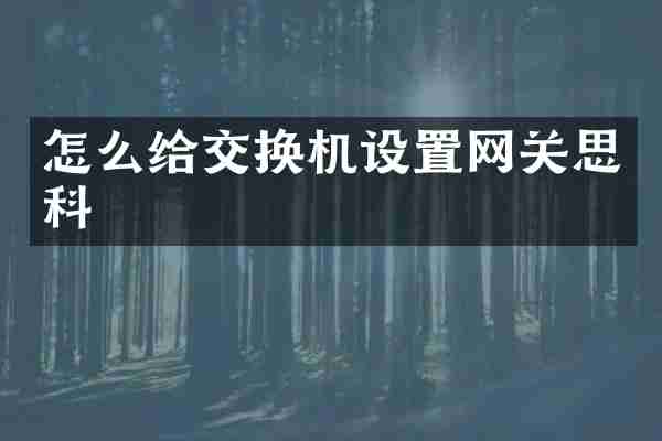 怎么给交换机设置网关思科