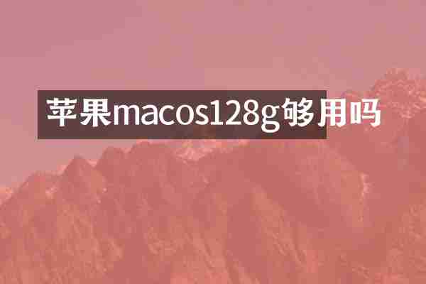 苹果macos128g够用吗