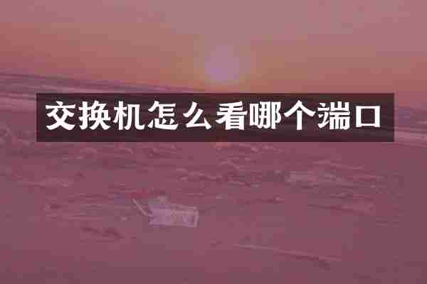 交换机怎么看哪个端口