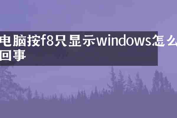 电脑按f8只显示windows怎么回事