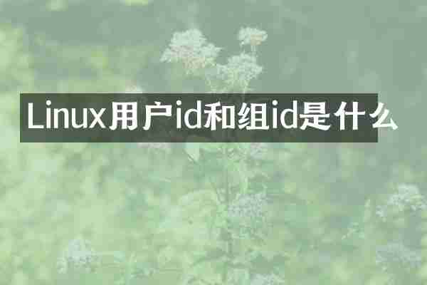 Linux用户id和组id是什么