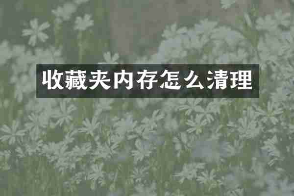 收藏夹内存怎么清理