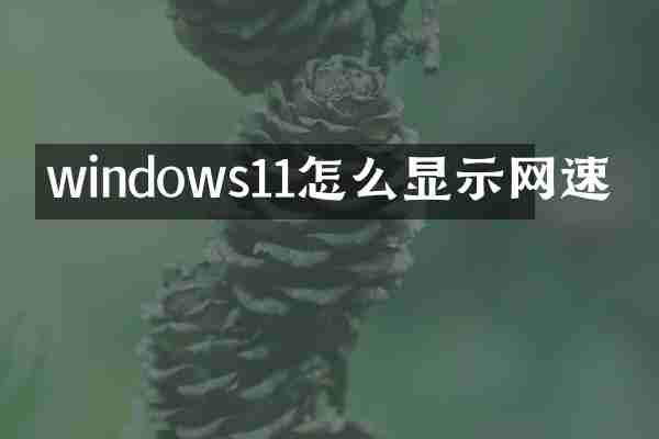 windows11怎么显示网速