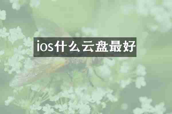 ios什么云盘最好