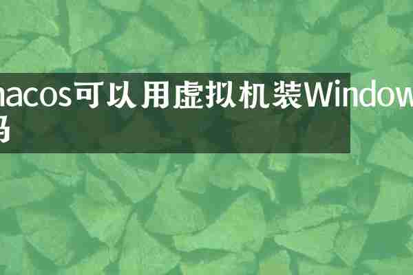 macos可以用虚拟机装Windows吗