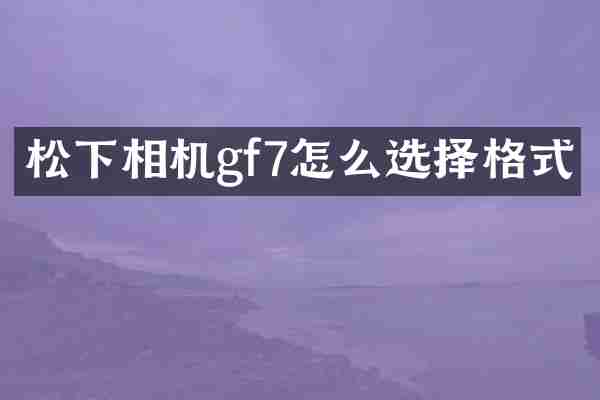 松下相机gf7怎么选择格式