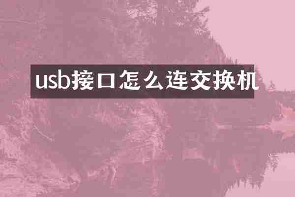 usb接口怎么连交换机