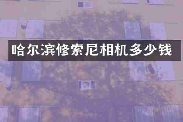 哈尔滨修索尼相机多少钱