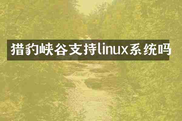 猎豹峡谷支持linux系统吗