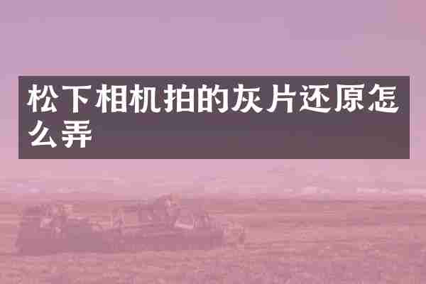 松下相机拍的灰片还原怎么弄
