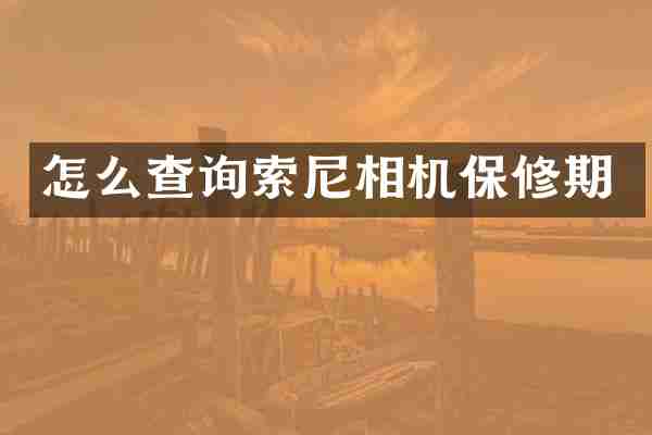 怎么查询索尼相机保修期