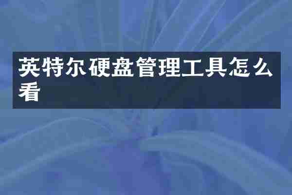 英特尔硬盘管理工具怎么看