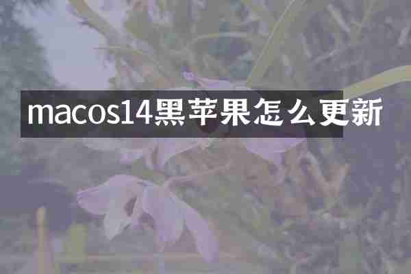 macos14黑苹果怎么更新