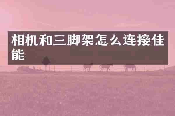 相机和三脚架怎么连接佳能