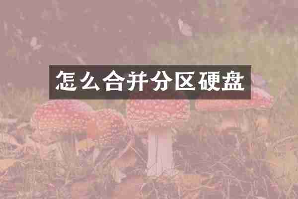 怎么合并分区硬盘