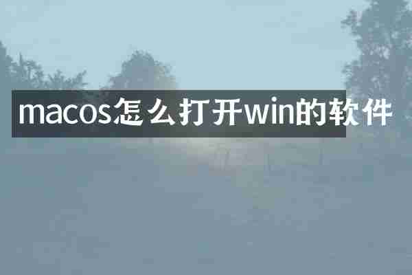 macos怎么打开win的软件