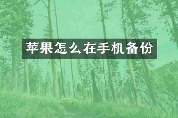 苹果怎么在手机备份