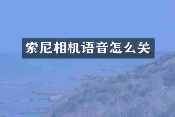 索尼相机语音怎么关
