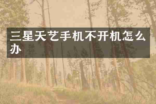 三星天艺手机不开机怎么办