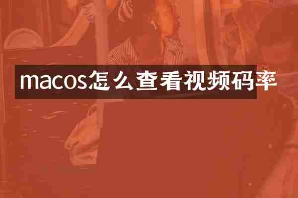 macos怎么查看视频码率