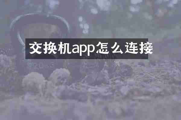 交换机app怎么连接