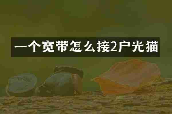 一个宽带怎么接2户光猫