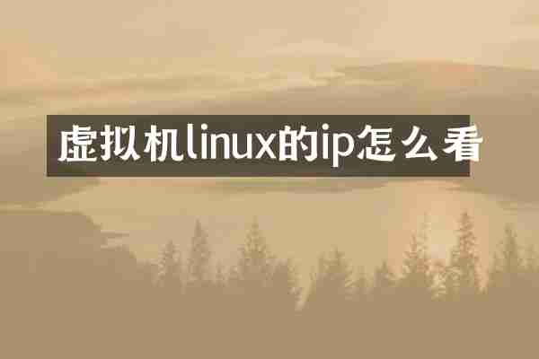 虚拟机linux的ip怎么看