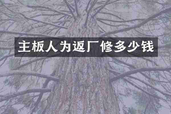 主板人为返厂修多少钱