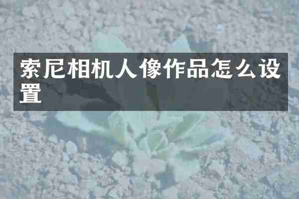 索尼相机人像作品怎么设置