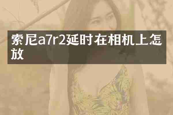 索尼a7r2延时在相机上怎么放