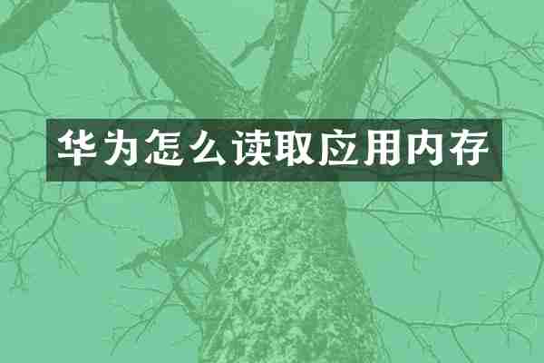 华为怎么读取应用内存
