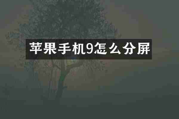 苹果手机9怎么分屏