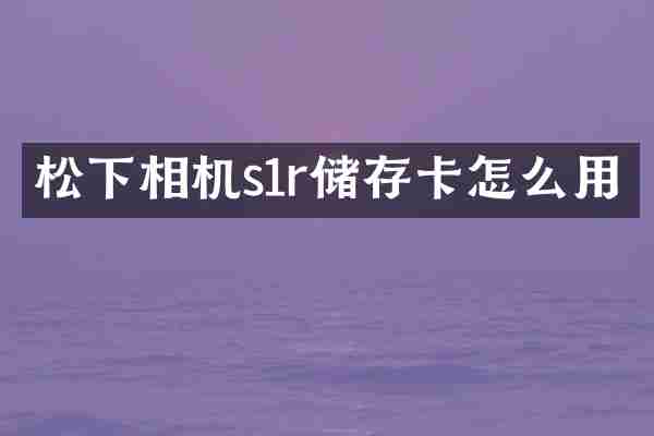 松下相机s1r储存卡怎么用