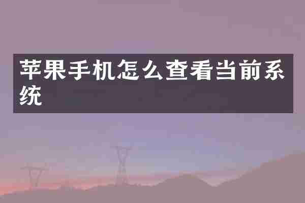 苹果手机怎么查看当前系统