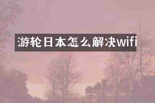 游轮日本怎么解决wifi